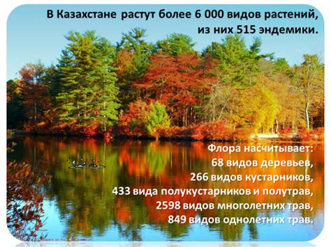 Презентация Природа Казахстана – скачать бесплатно pptx