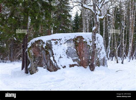 The king of Estonian boulders, Pahkla Suurkivi, Estonia. Winter season ...