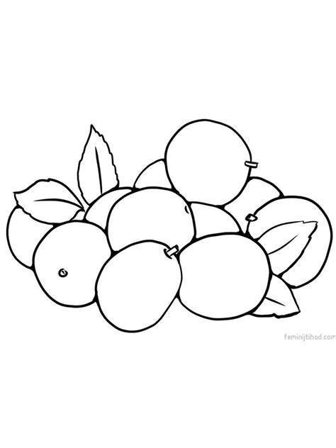 Jujube Coloring Page Printable Having A Shape Similar To Dates The