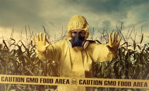 What Does Bioengineered Food Mean?