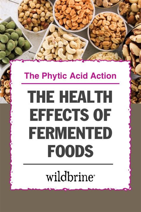 The Tradition Of Fermented Foods History And Healthy Benefits