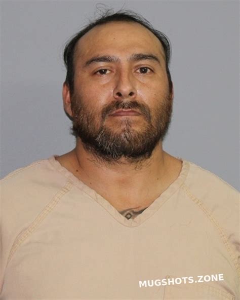 Pacheco Jessie Castro Palo Pinto County Mugshots Zone