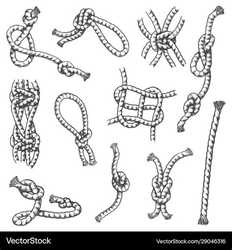 Sketch marine rope knots with hitches and bends Vector Image