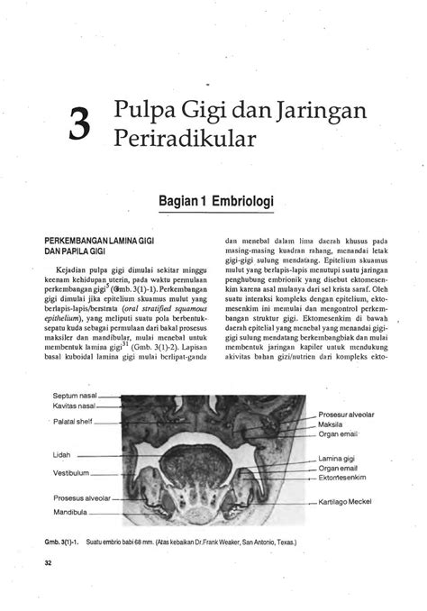 Bab Pulpa Gigi Dan Jaringan Periradikular Haryahutamas Halaman