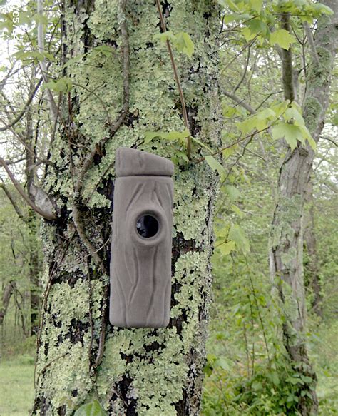 Bluebird Nesting Box | Sneeky Fox Outdoors