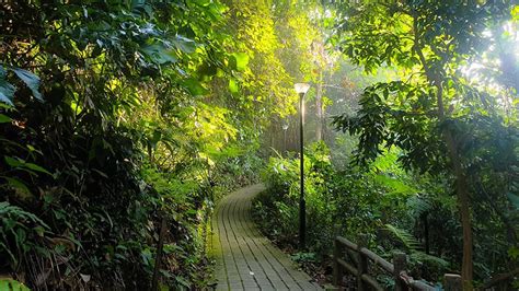 Bukit Batok Nature Park