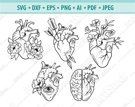 Heart Svg File Anatomical Heart Svg Human Heart Svg Etsy