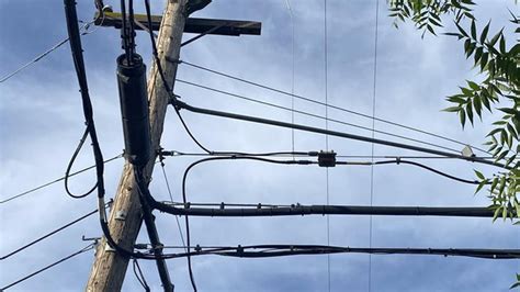 Large Bird Takes Out Power Lines Causes Power Outage