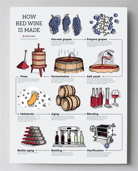 C Mo Hacer Vino Casero Gu A Paso A Paso Para Elaborar Tu Propio Vino