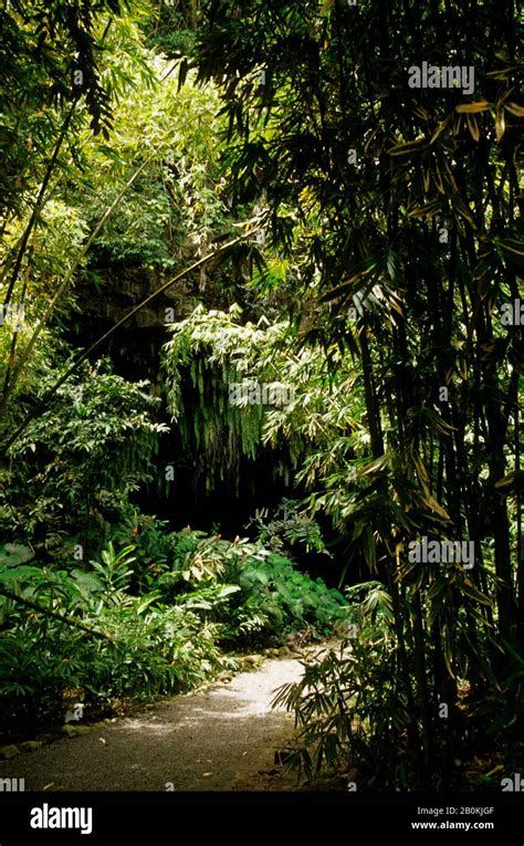 French Polynesia Society Islands Tahiti Maraa Grotto Stock Photo Alamy