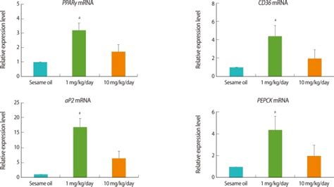 The Expression Levels Of Adipogenesis Related Genes In The Rat Ovary