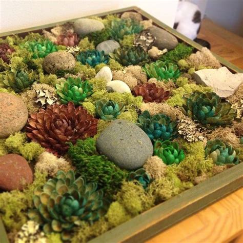 Diy Faux Succulent Garden Pistachio Shell Succulents Misc Rocks And