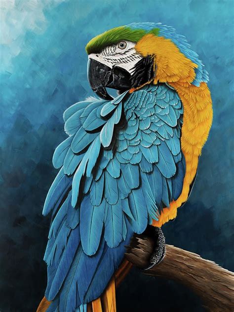 Blue And Gold Macaw By Debra Dickson Macaw Art Parrot Painting