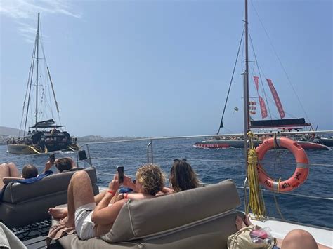 Freebird Catamaran Playa De Las Americas Ce Quil Faut Savoir