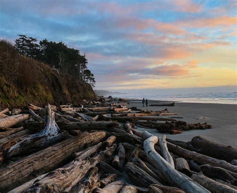 Kalaloch Lodge Forks, Washington, US - Reservations.com