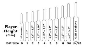 Cricket Bat Sizes | Cricket Bat Dimensions