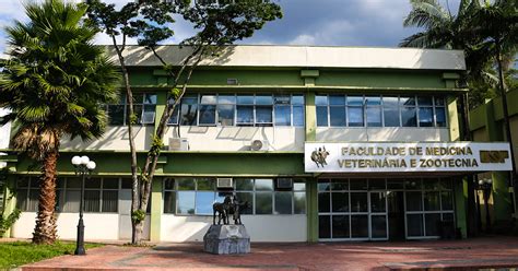 Melhores Faculdades De Medicina Veterinária Sp - Faculdade de Medicina Veterinária da USP recebe certificação ouro ...