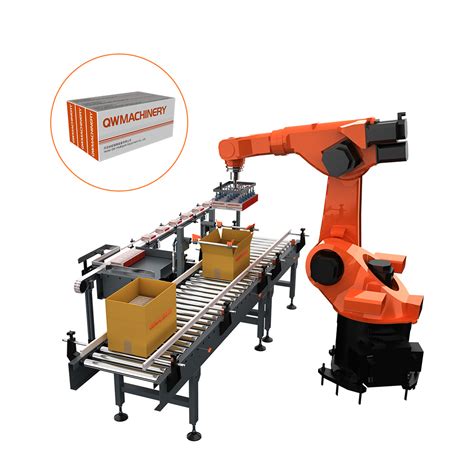 Axis Robot Case Packaging Machine China Case Packing And Axis