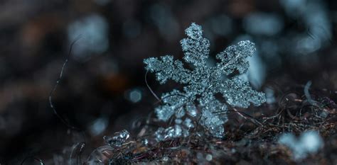 Macro Photography Of Snowflake · Free Stock Photo