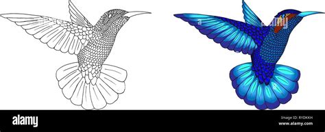 Small Hummingbird Exotic Tropical Colibri Animal Icon Golden Emerald