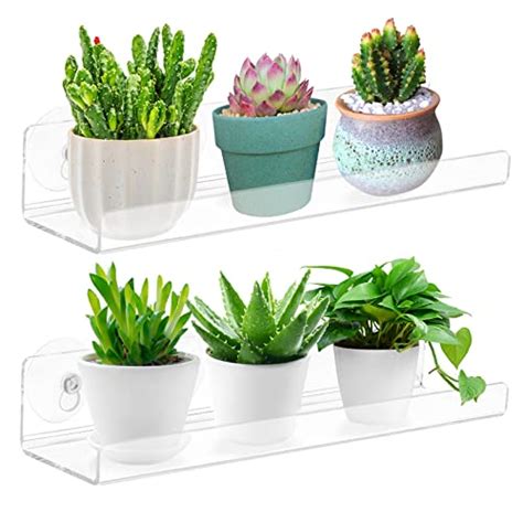 Best Window Suction Cup Planter: A Nytimes Standard Article Title