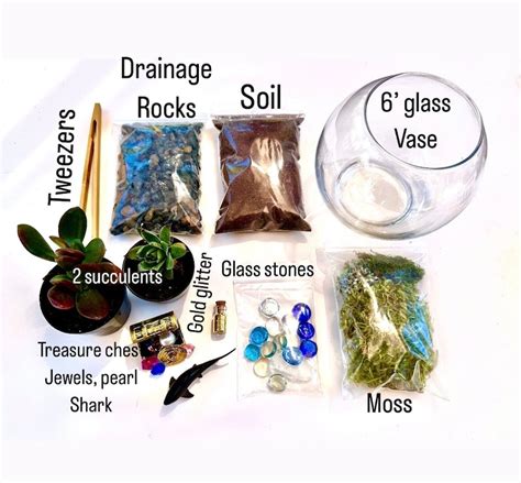 Pirate Treasure Chest Diy Terrarium Kit Diy Succulent Kit Educational