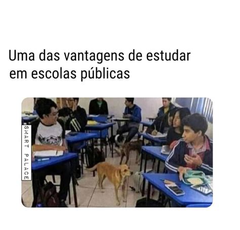 Uma Das Vantagens De Estudar Em Escolas P Blicas Memes