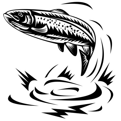 Trout Fish Jumping 13790115 Png