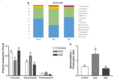 Composition Of The Gut Microbiota At The Phylum Level A The