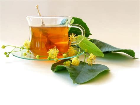 Buy essiac tea: Benefits, How to Make, Side Effects