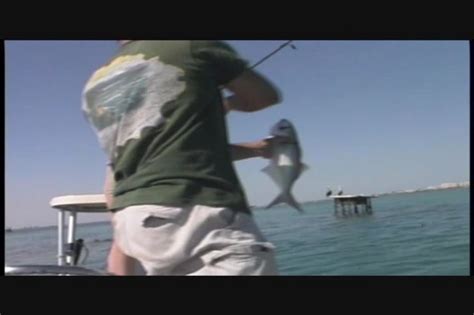 Slender Blonde Candi Apple Gets Her Butthole Stuffed With Hard Dick From Amateur Anal Attempts 3