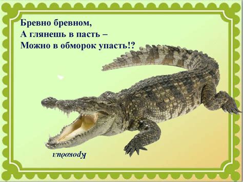 Волшебный мир зверей и птиц Евгения Чарушина - презентация онлайн