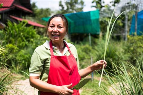 My Chiang Mai Cooking Class Was On A FARM! | Frugal Frolicker