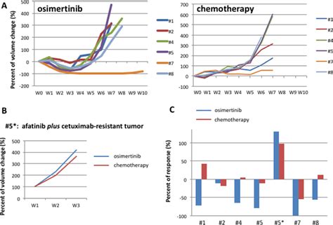 HCC827 Human Tumor Xenografted In Nude Mice And Treated With