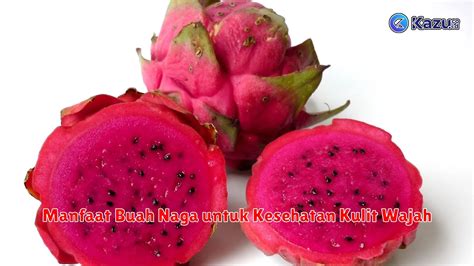 5 Manfaat Buah Naga Untuk Kecantikan Wajah Yang Harus Kamu Tahu Life