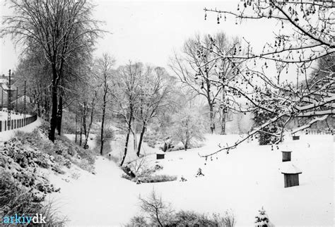 arkiv dk Vinter i Mølholmsdalen Vejle 26 februar 1941