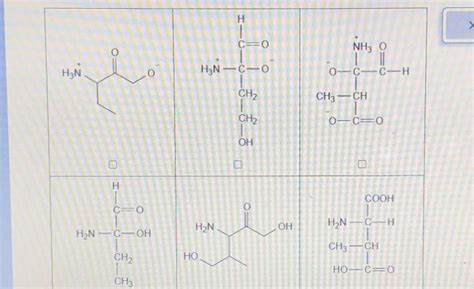 check the box under each a amino acid.if there are no | Chegg.com