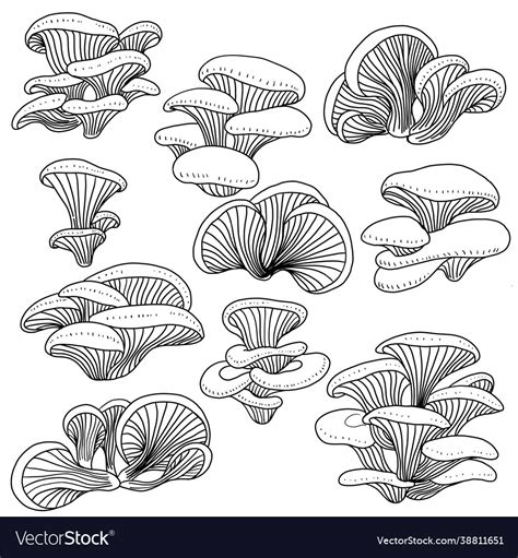 Doodle Freehand Sketch Drawing Collection Set Of Vector Image