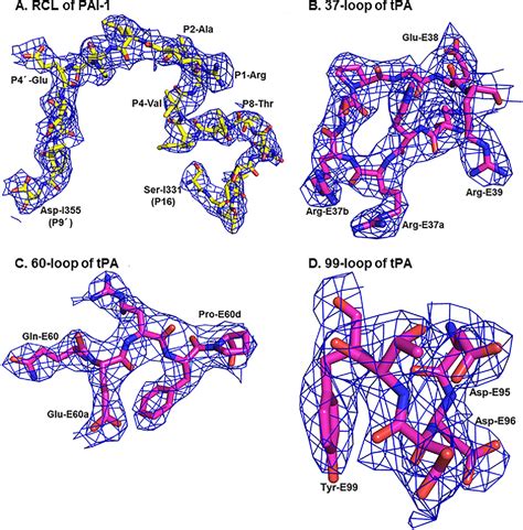 Figure From Crystal Structure Of The Michaelis Complex Between Tissue