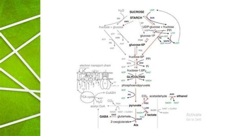 Ppt Uts Fisiologi Stres Tan Pptx