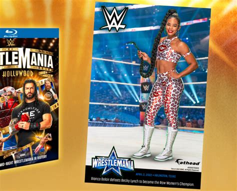 Cover Artwork For Wwe Elimination Chamber 2023 Dvd Wrestlemania 39 Dvd