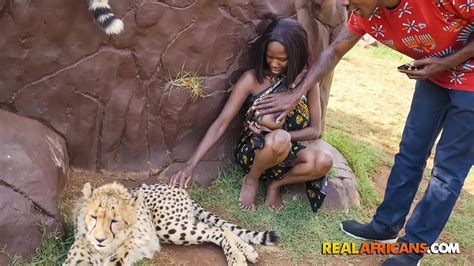 Safari Park Porn 4 604 Videos PussySpace