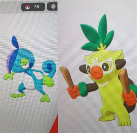 Pokemon Sword And Shield Starter Evolutions Prima Games