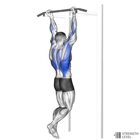 Chin Ups How To Strength Level