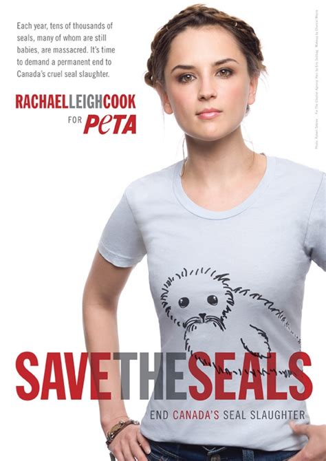 Stop The Slaughter And Save The Seals Rachel Leigh Cook Harp Seal