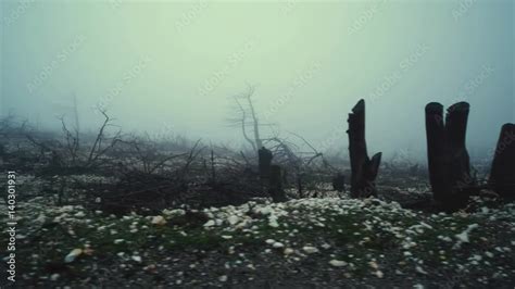 4K Pov Moving Shot Of Barren Land Burned Out Forest In Mist And Fog Pov