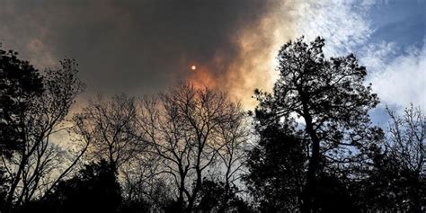 2 Forest Fires In New Jersey Pinelands Almost Completely Contained Authorities Say Fox News