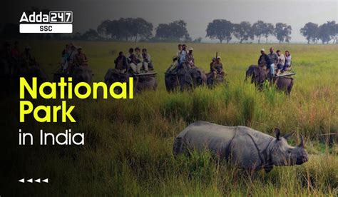 National Parks In India Check Full List