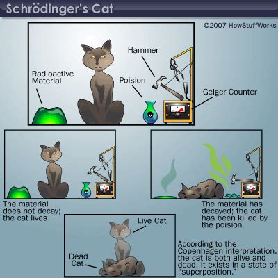 Schrodinger's Cat Simplified - Juliet-has-Larson