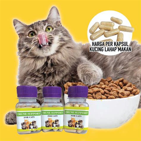 Jual Kapsul Imune Support Obat Penggemuk Kucing Obat Penambah Nafsu